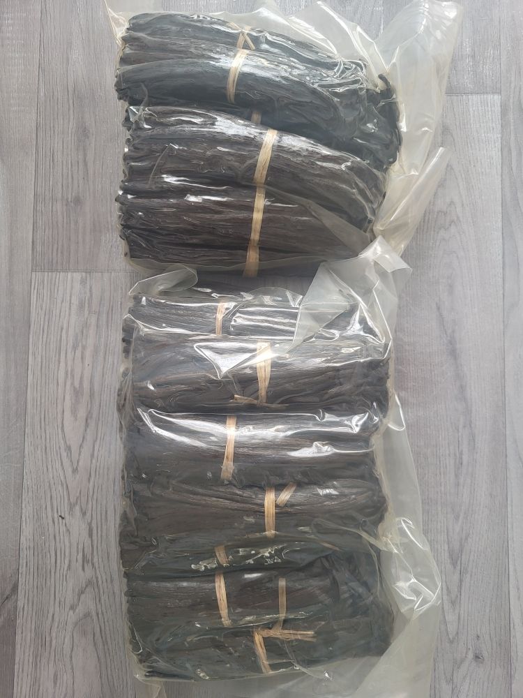 Vanille de Madagascar 500 Lens (62)