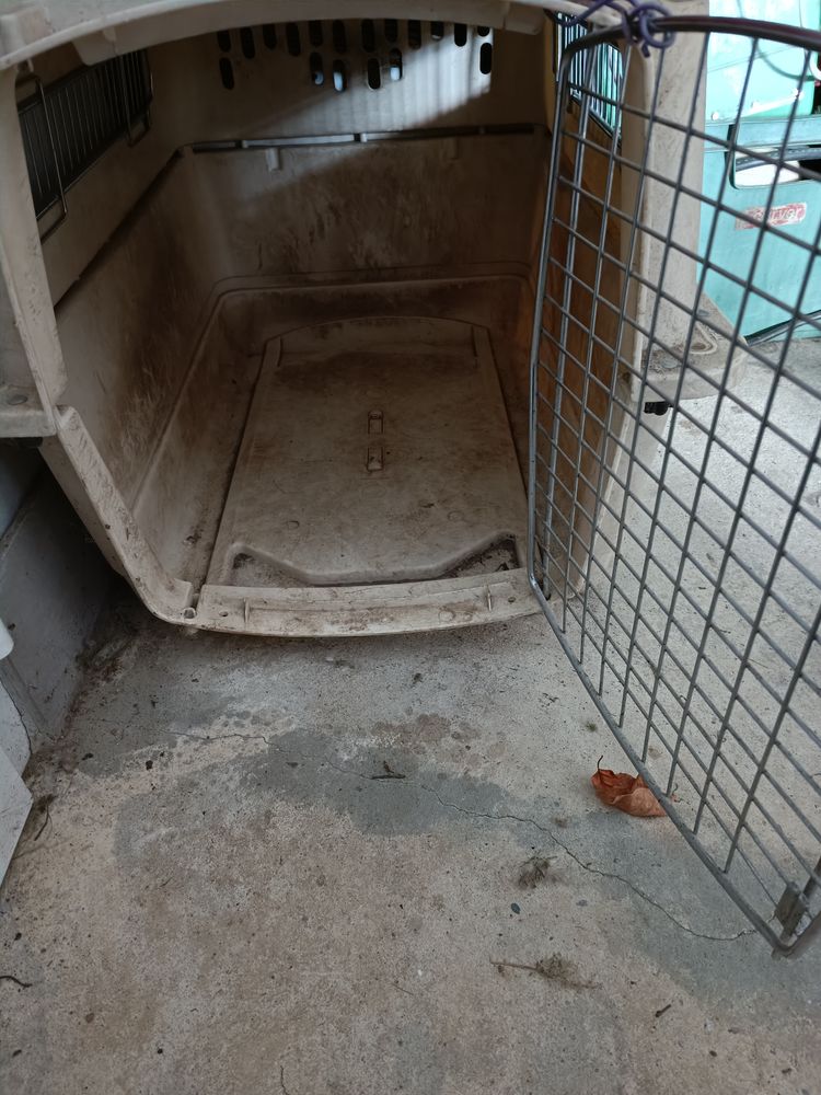 Varicanelles 2 tailles 25 Nancy (54)