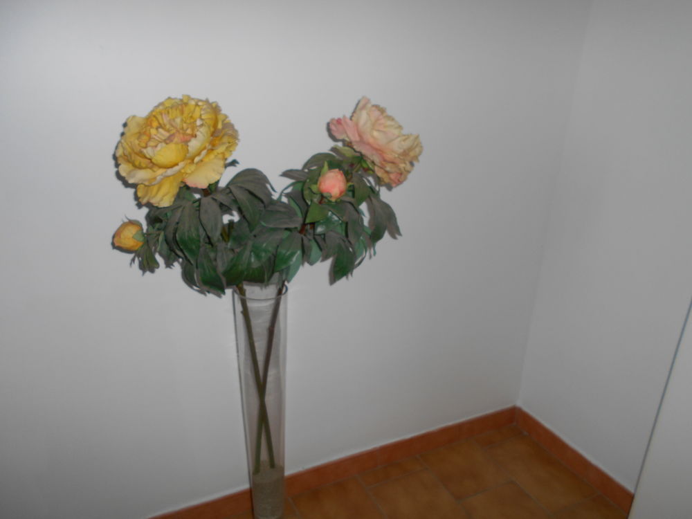 VASE AVEC DEUX FLEURS PIVOINES 10 Balaruc-les-Bains (34)