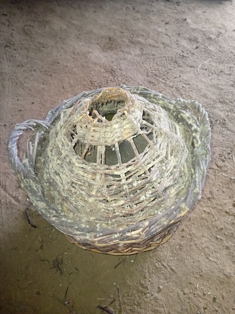 Vase dame Jeanne 20 Le Landreau (44)