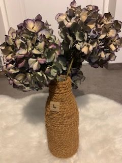 VASE FICELLE 12 Montfort-le-Gesnois (72)