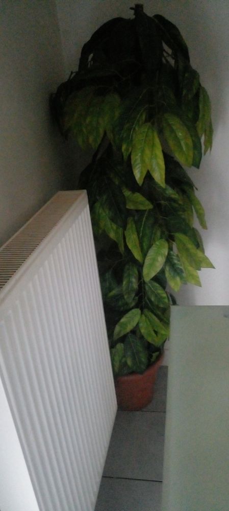 vase 8 Saint-�gr�ve (38)