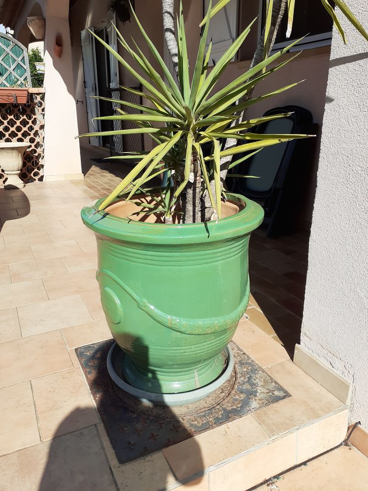 vasque 80 Villeneuve-l�s-Maguelone (34)