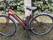 vélo adulte marque Lejeune 10 Estang (32)