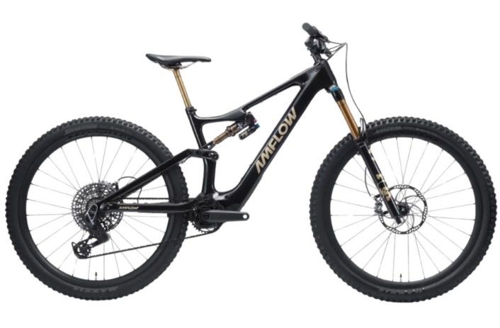 V�lo AMFLOW PL CARBON PRO XL 8900 Clermont-Ferrand (63)