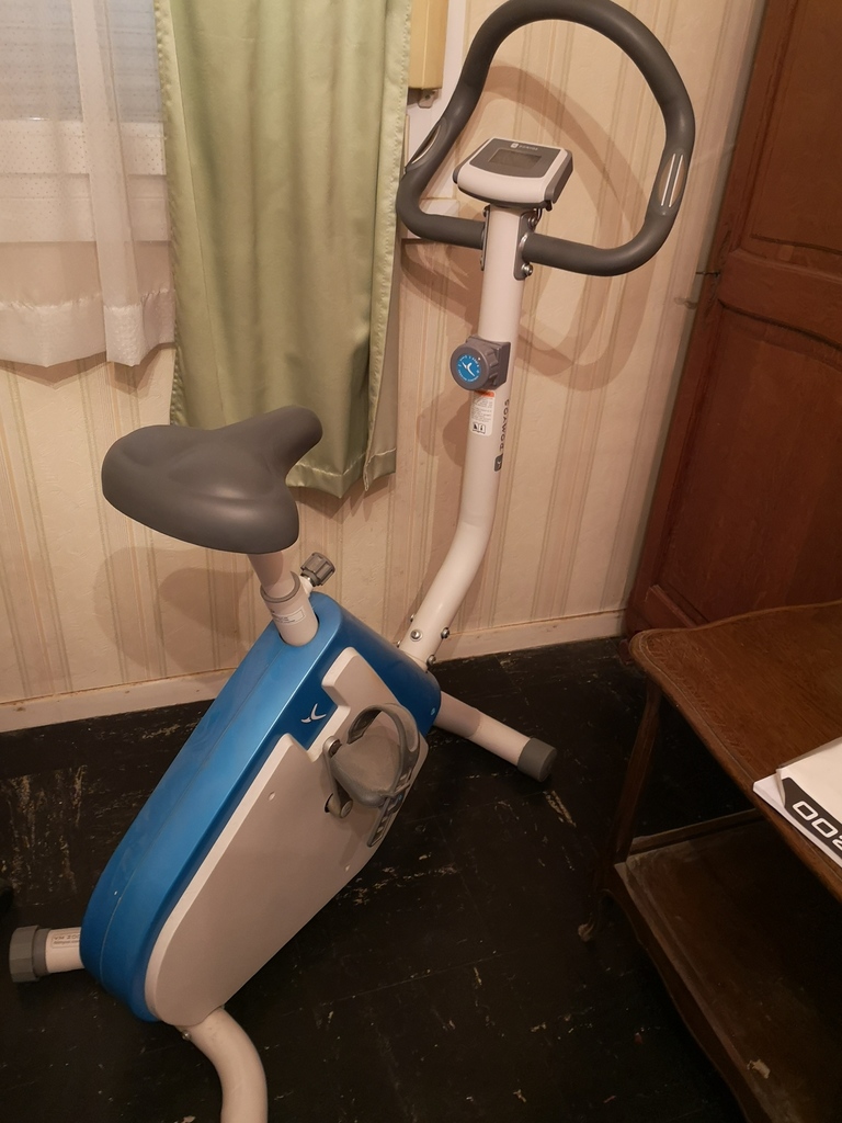 V�lo d'Appartement Confortable Bleu et Gris 40 Noyon (60)