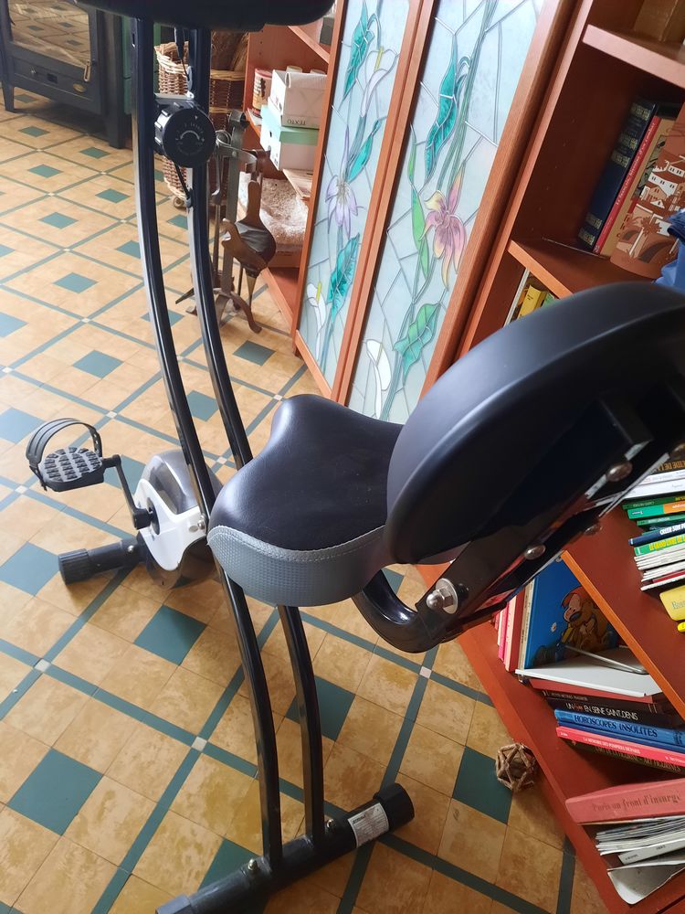 V�lo d'appartement pliable 85 Courlon-sur-Yonne (89)