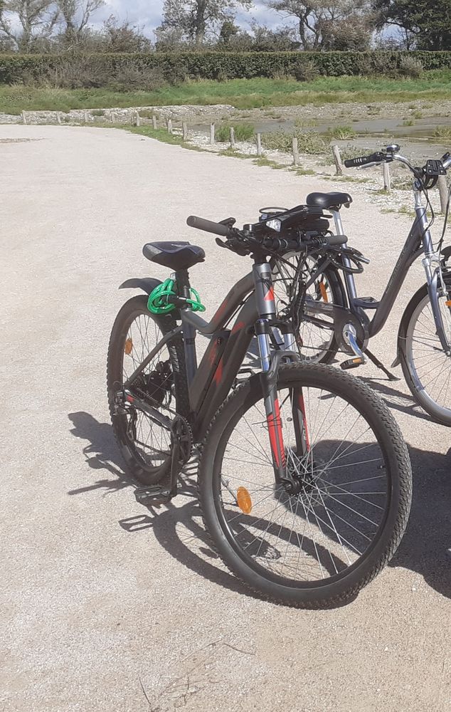 Velo assistance �lectrique 900 Berck (62)