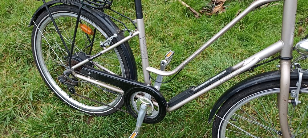 V�lo � assistance �lectrique 600 Mo�lan-sur-Mer (29)