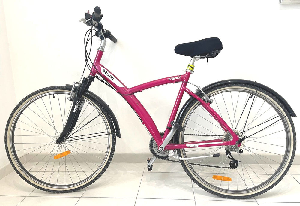 V�lo Bitwin original 5 179 Vichy (03)