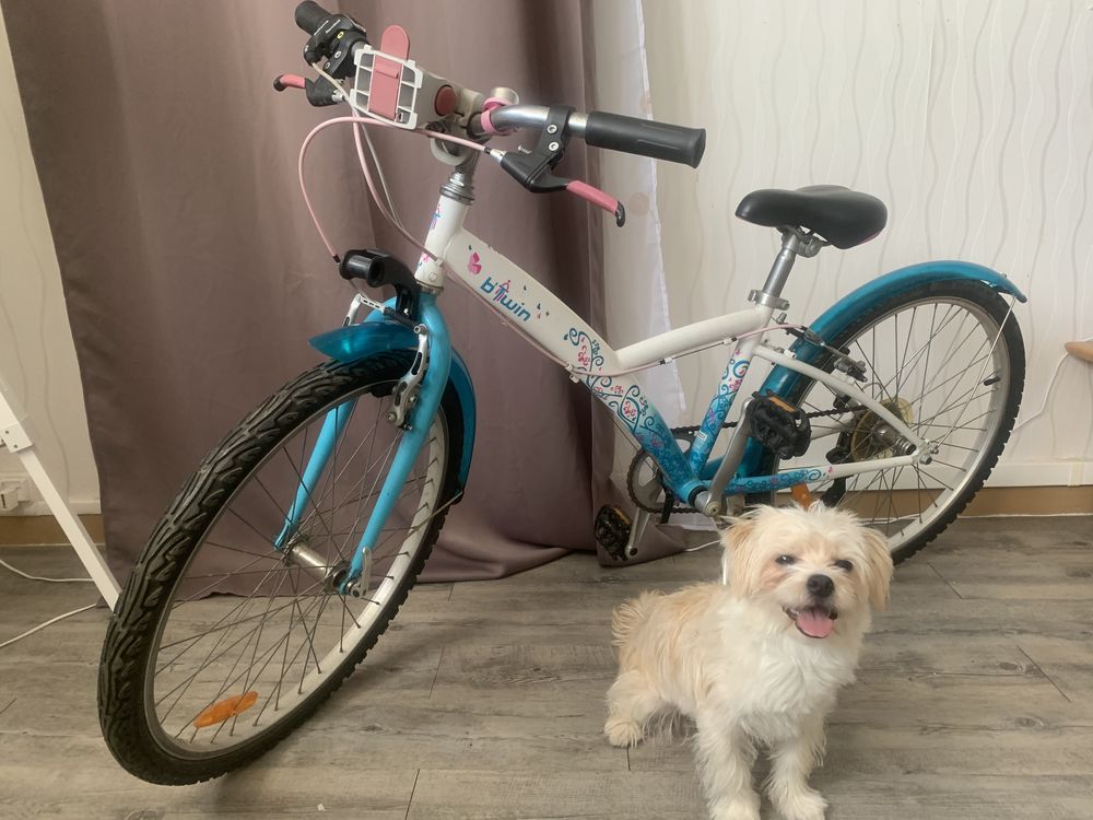 V�lo BTWIN 80 Saint-Gratien (95)