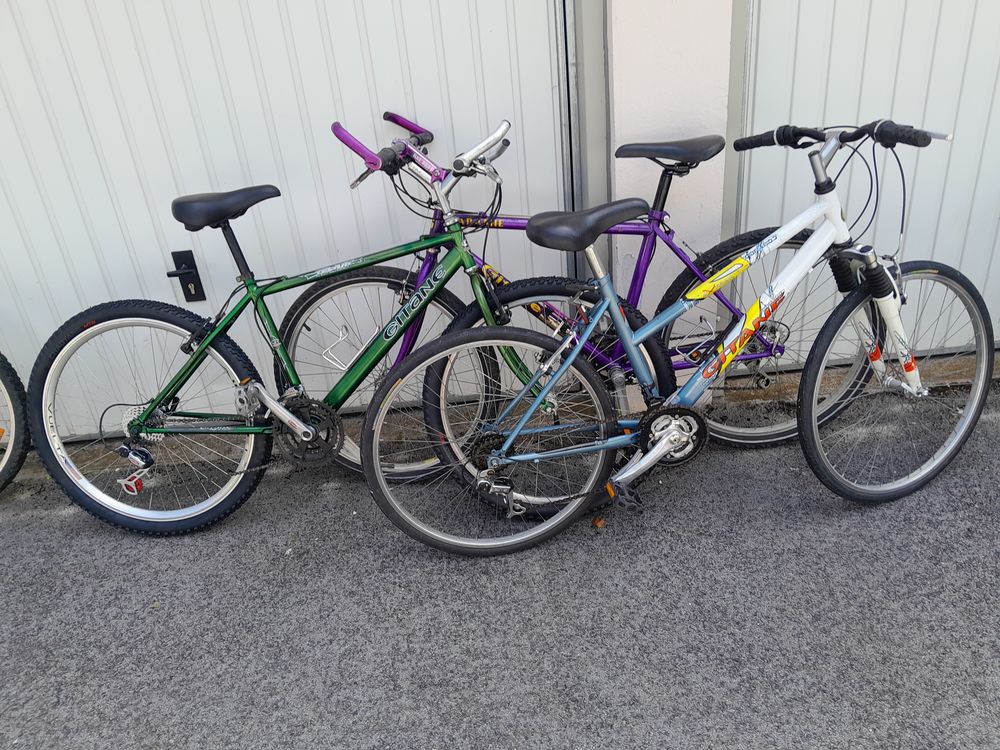 Velo compl�tement r�viser 100 Besan�on (25)