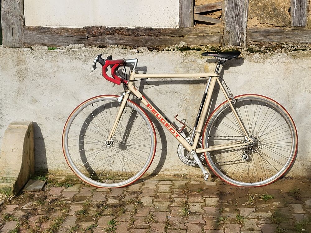 V�lo course aluminium homme
200 Montier-en-Der (52)