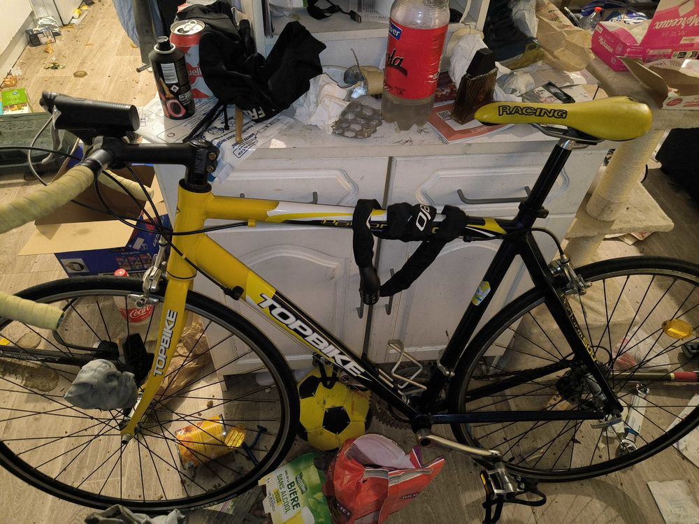 v�lo de course 250 Estrablin (38)