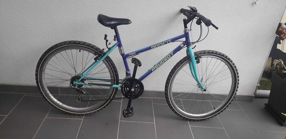 V�lo dame 70 Ernestviller (57)