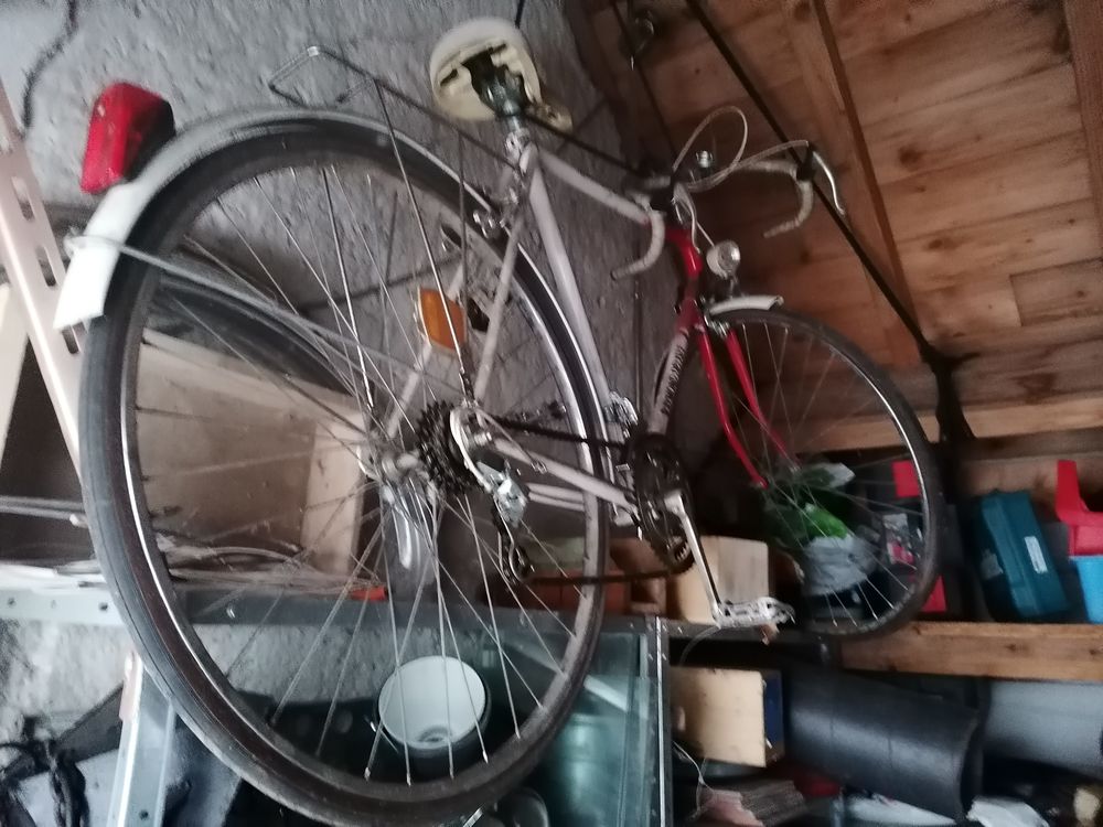 V�lo demi course RAYMOND DELISLE ( collector ) 40 Veign� (37)