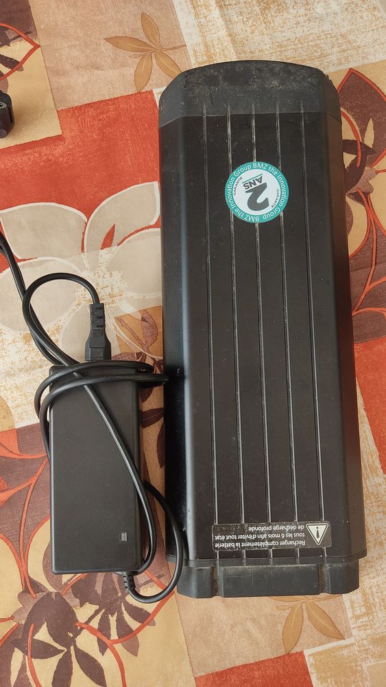 V�lo �lectrique Femme. 380 Sali�s (81)