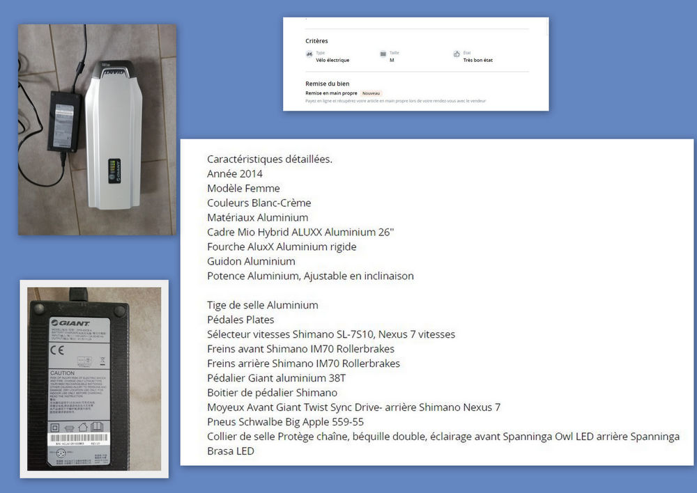 v�lo �lectrique giant twist 980 Beaunay (51)
