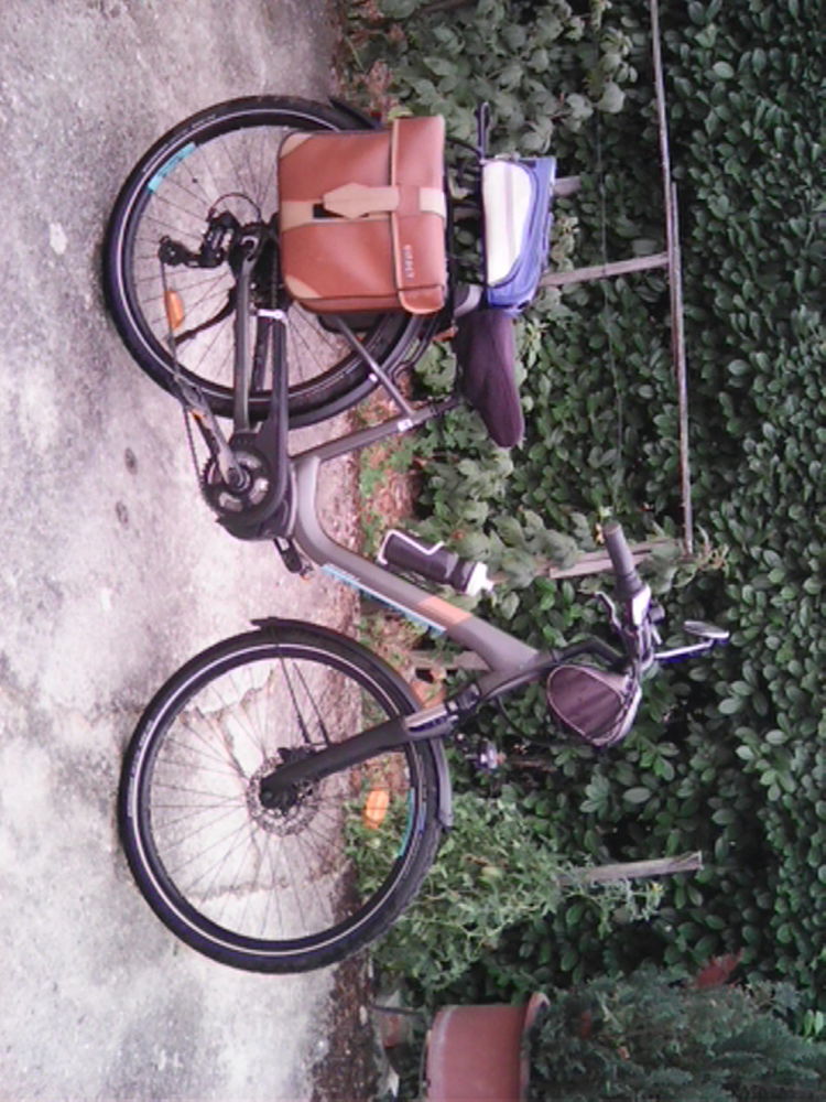 V�lo Electrique  mixe 1100 Damiatte (81)