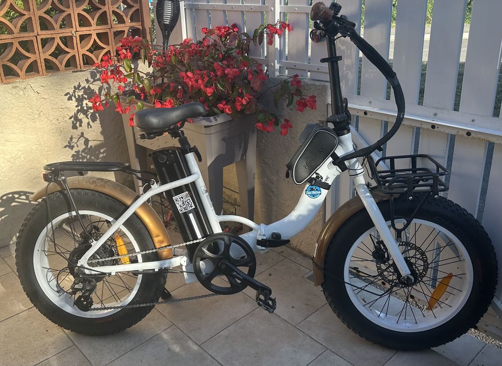 v�lo �lectrique tout terrain 1100 Bormes-les-Mimosas (83)