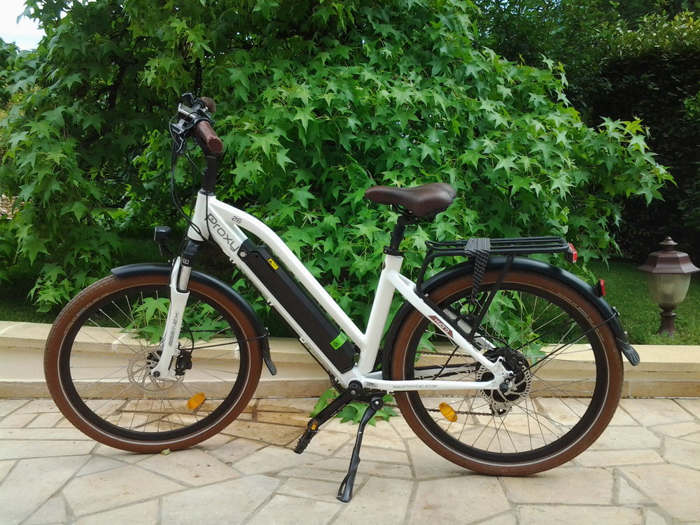 vélo électrique 1200 Corpeau (21)