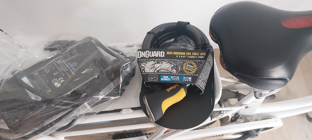 V�lo �lectrique 250 La Roche-sur-Yon (85)