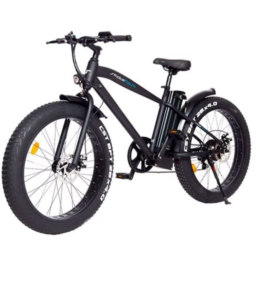 v�lo �lectrique 750 Saint-�tienne (42)