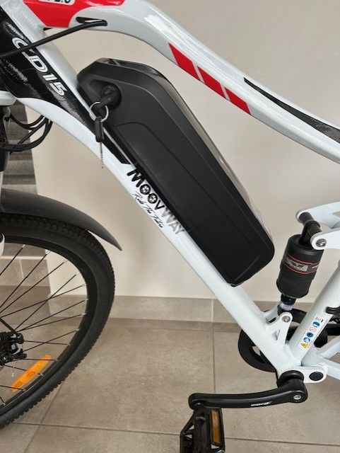 v�lo �lectrique 790 Angers (49)