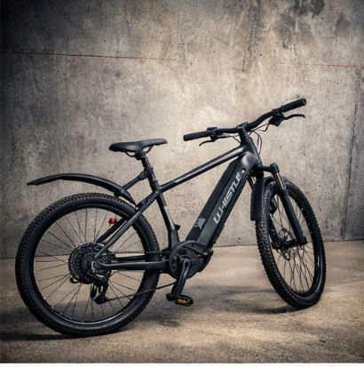 Velo VTT �lectrique 1280 Ornex (01)