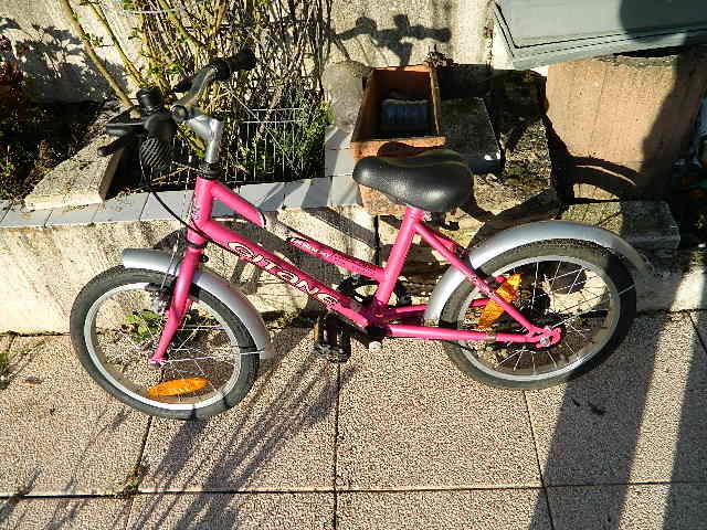 VELO ENFANT 50 Beaune (21)