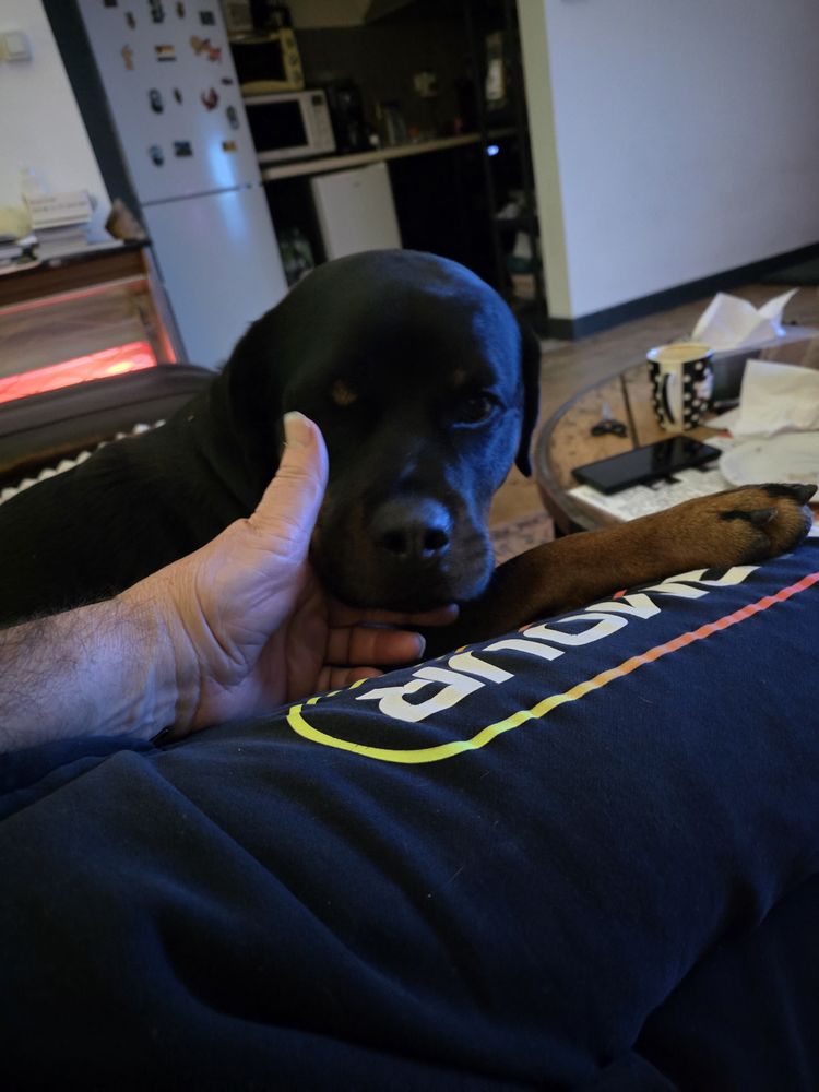 Velo femme d�cathlon rose 60 Monistrol-d'Allier (43)