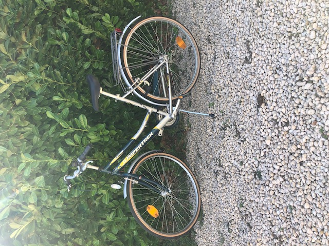 v�lo femme ville 90 Saint-Andr�-de-B�g� (01)