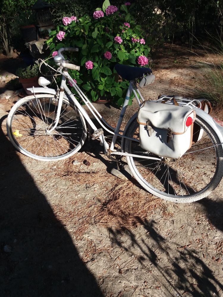 V�lo femme  vintage  50 M�rindol (84)