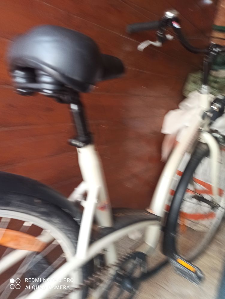 V�lo femme 90 Roujan (34)