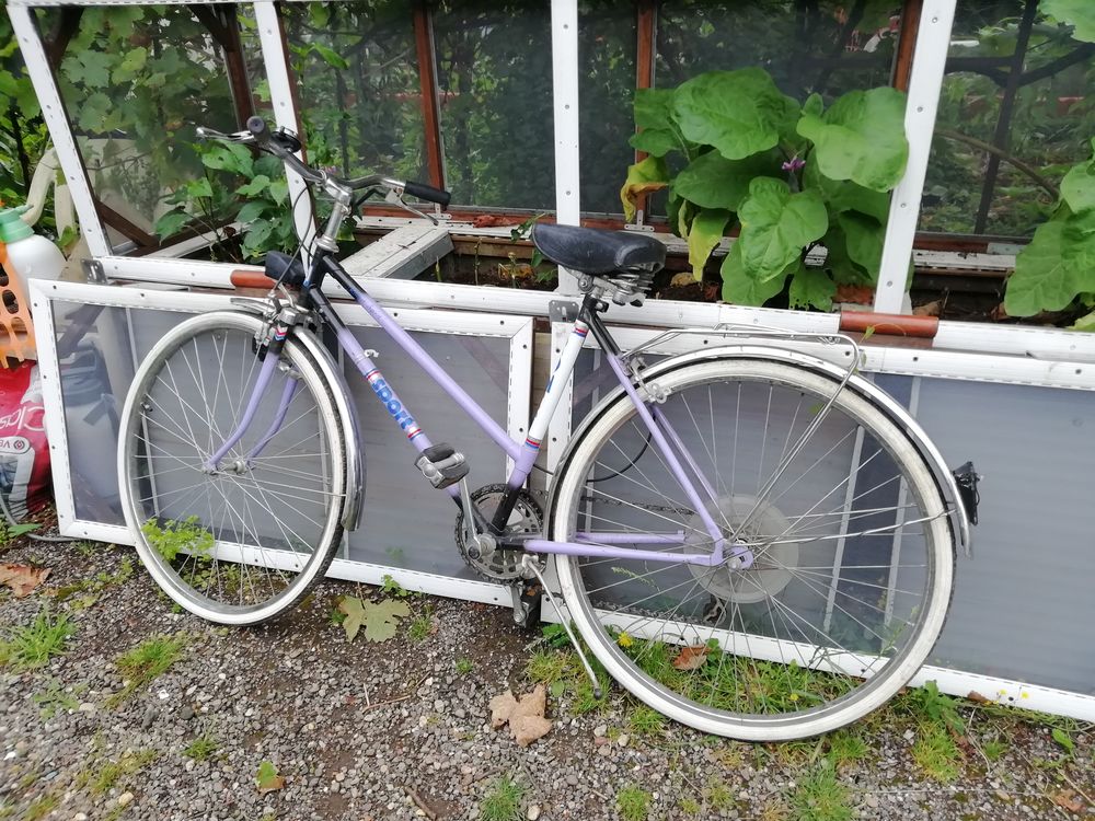 velo femme 0 Gu�nange (57)