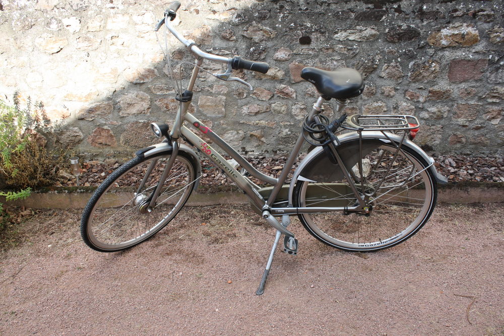 Velo Gazelle  Just 4 You  2008 159 Verosvres (71)