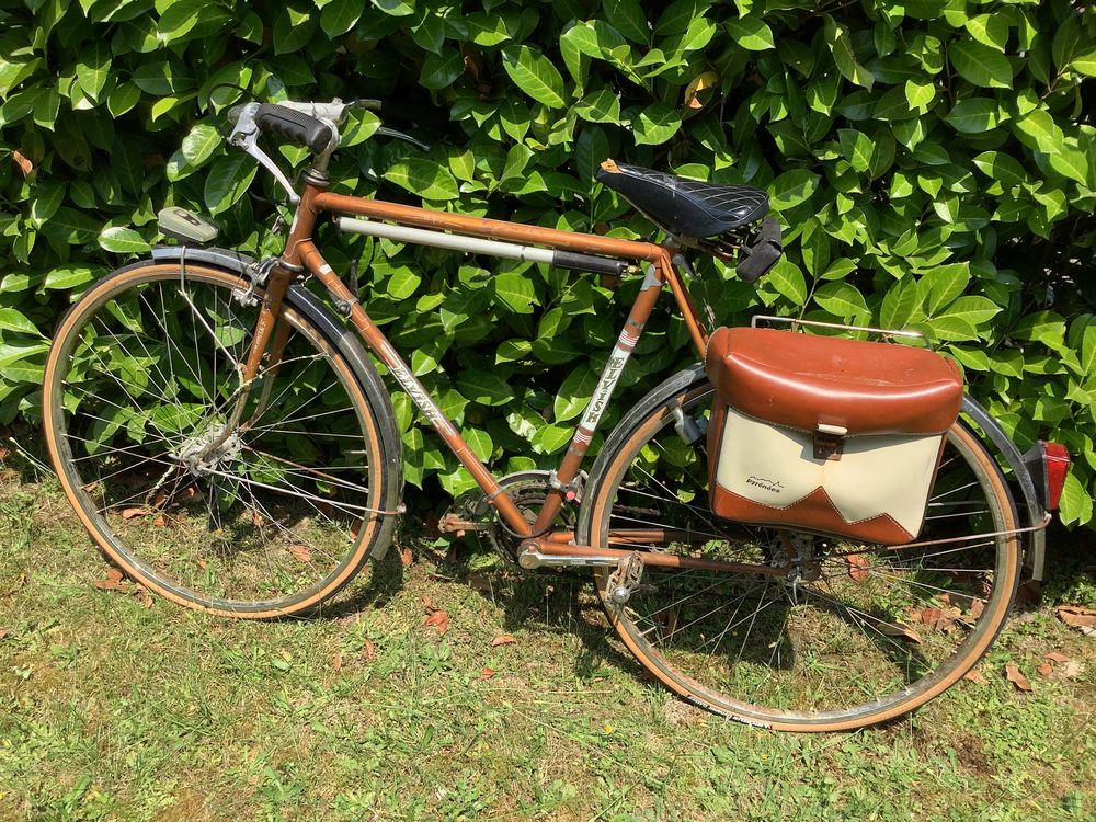 v�lo d,homme 30 Pau (64)