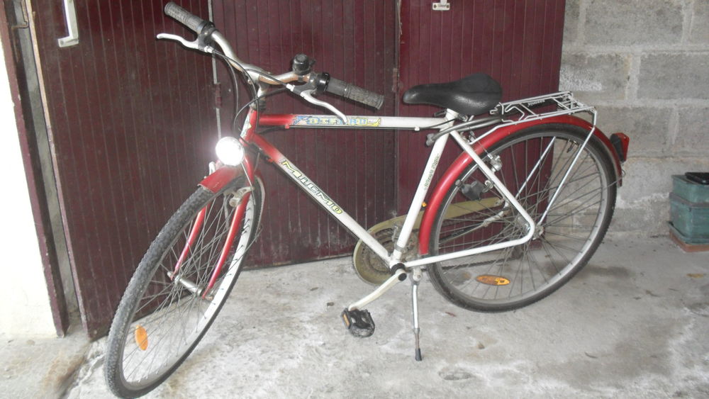 v�lo homme 50 Pl�rin (22)