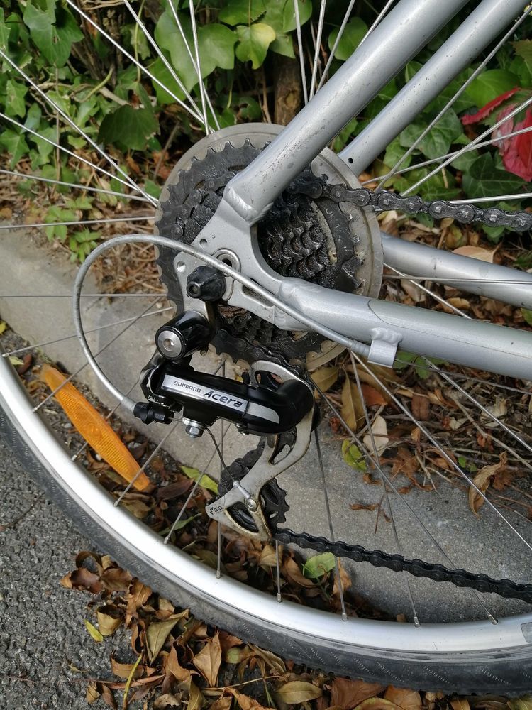 v�lo musculaire de marque giant 120 Lannion (22)