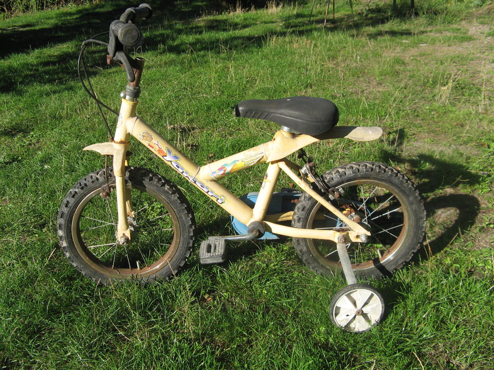 VELO OCCASION 15 Monthoiron (86)