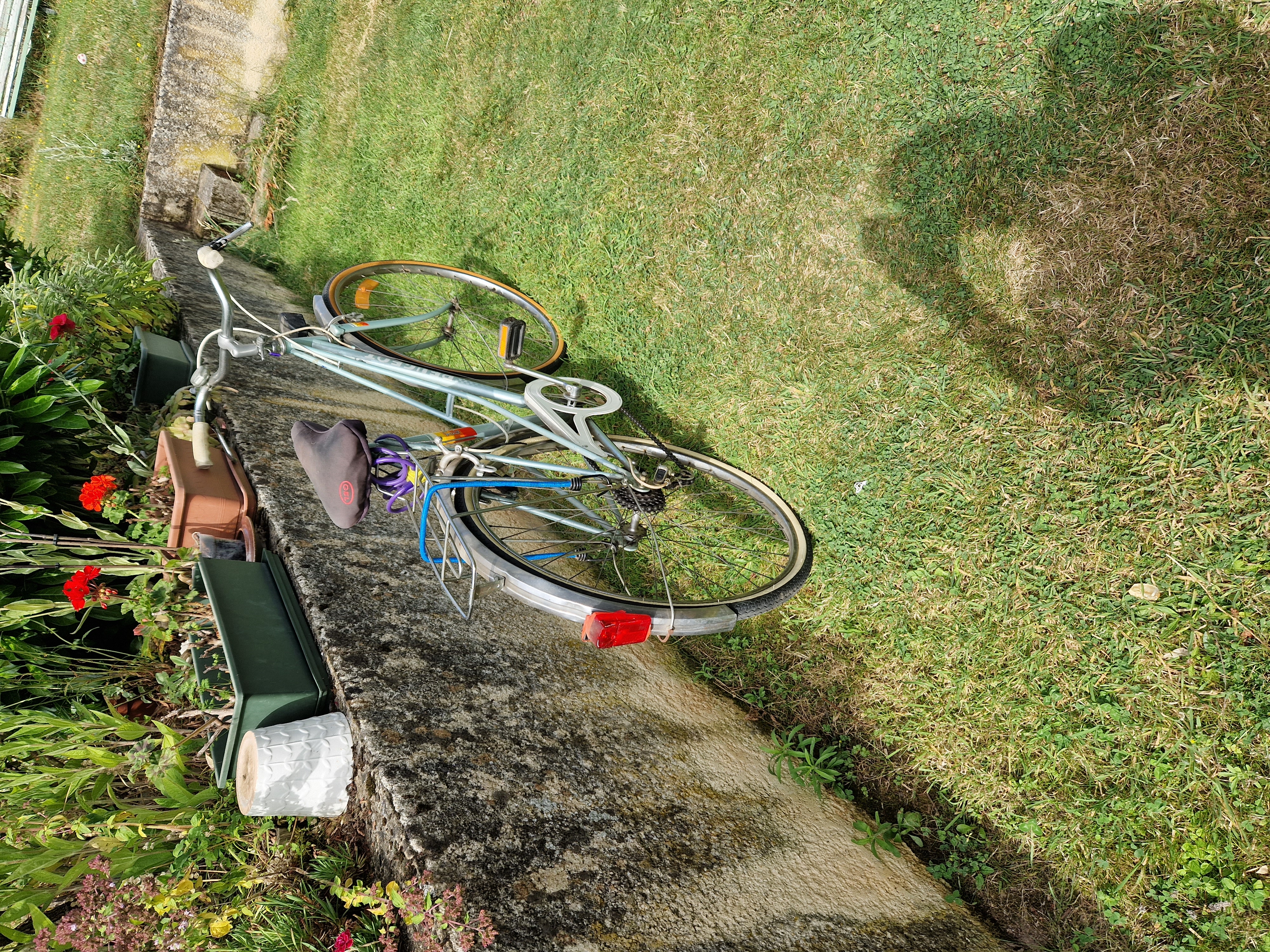 V�lo Peugeot. 50 Saint-Martin-d'Estr�aux (42)