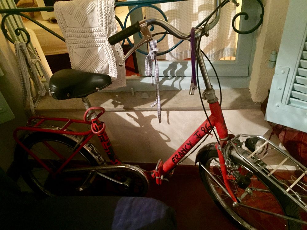 V�lo pliable 25 Cannes (06)