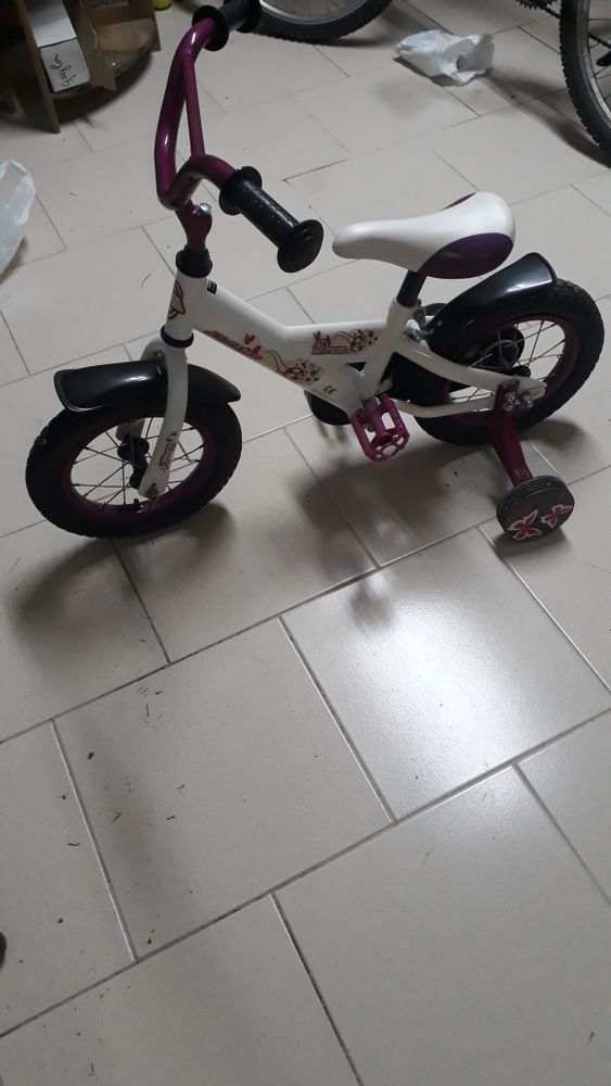 velo a roulette 15 Hendaye (64)