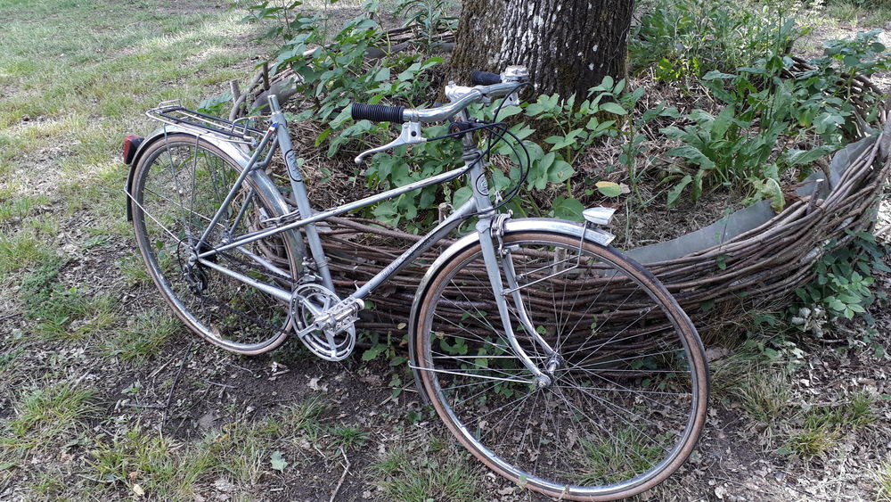 Vélo de route femme 30 Sainte-Geneviève-des-Bois (45)