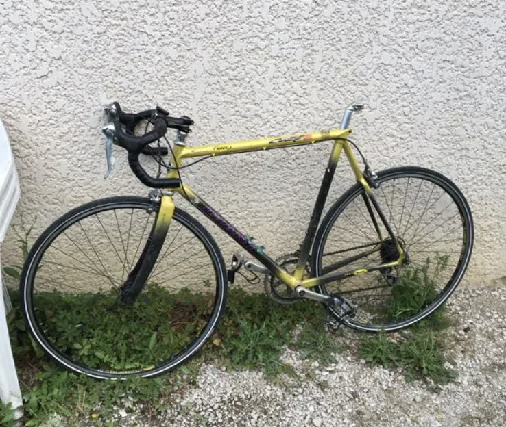 V�lo route giant cadex cfr-1 mavic 0 La Buisse (38)