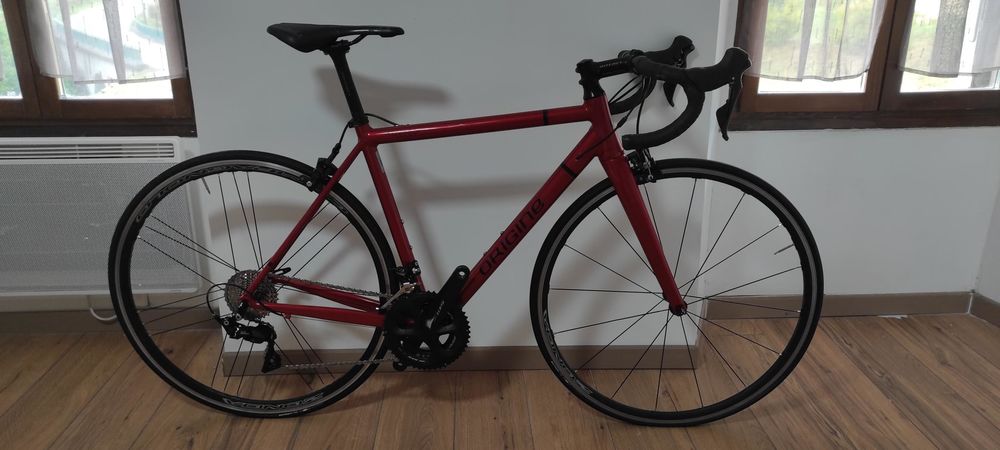 V�lo de route Orgine tuxedo ann�e 2021 1000 Moye (74)