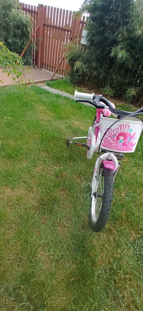 velo shelly montana 16 pouces 150 Obenheim (67)