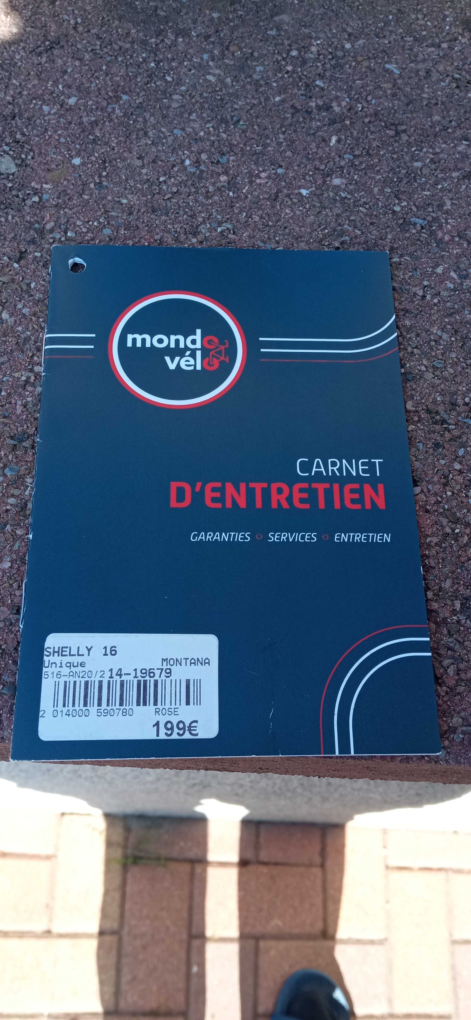 velo shelly 16 pouces 150 Obenheim (67)