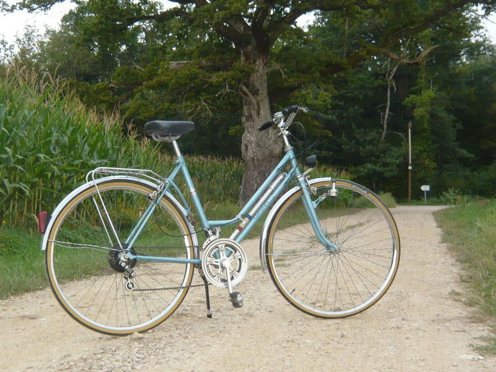 V�lo de type Suisse vintage 10 vitesses excellent �tat
150 Marseille 1 (13)