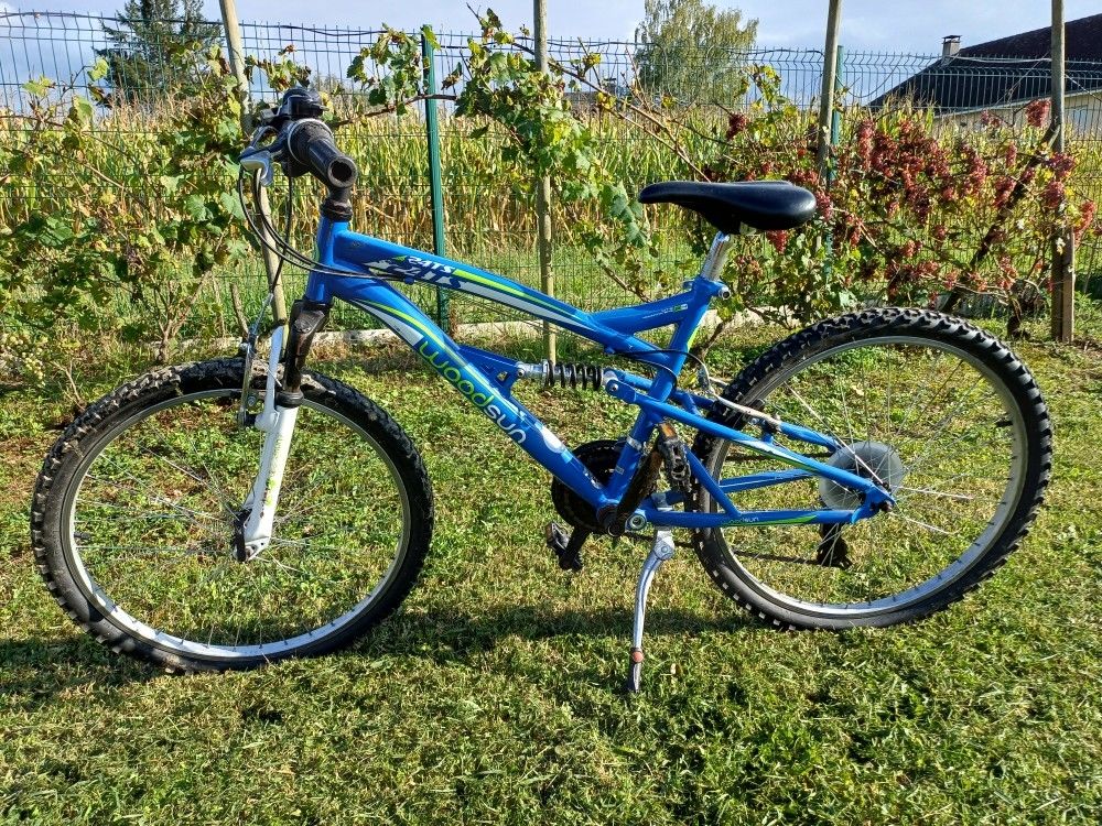 Velo ville 24  woodsun  130 Oloron-Sainte-Marie (64)